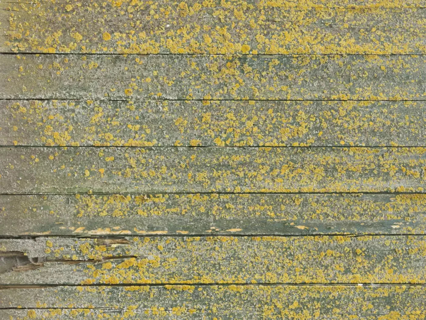 Woodsen Yellow 7X5 Ultracloth ( 84 X 60 Inch ) Backdrop