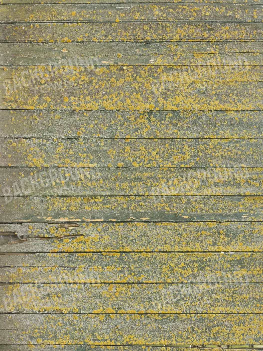 Woodsen Yellow 8X10 Fleece ( 96 X 120 Inch ) Backdrop