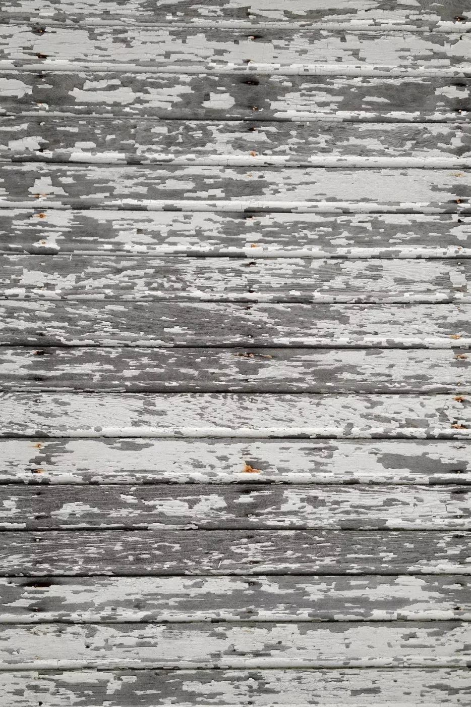 Woodshed Backdrop
