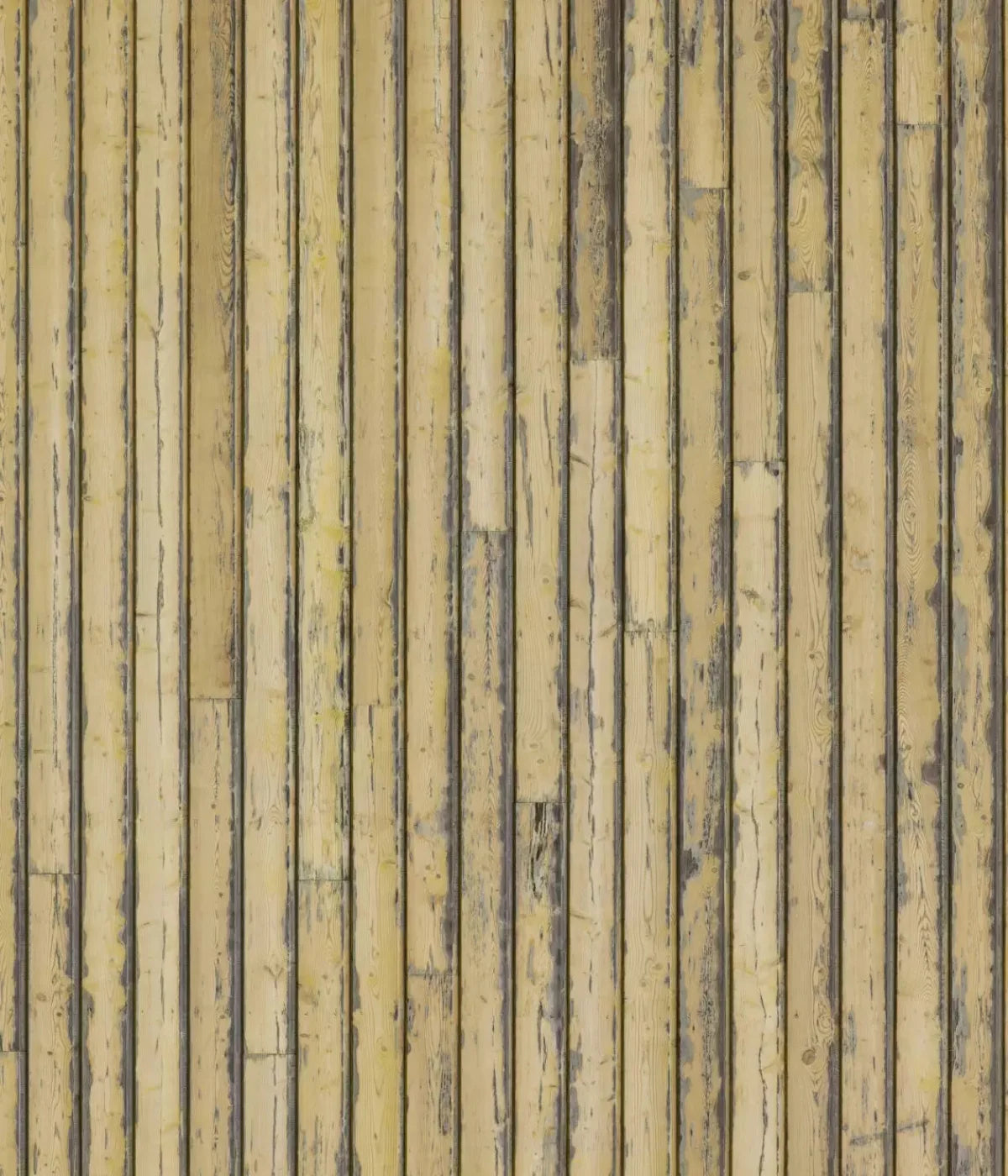 Woodstock 10X12 Ultracloth ( 120 X 144 Inch ) Backdrop