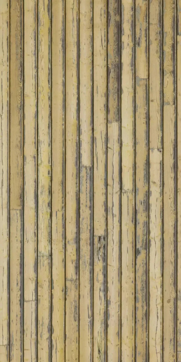 Woodstock 10X20 Ultracloth ( 120 X 240 Inch ) Backdrop