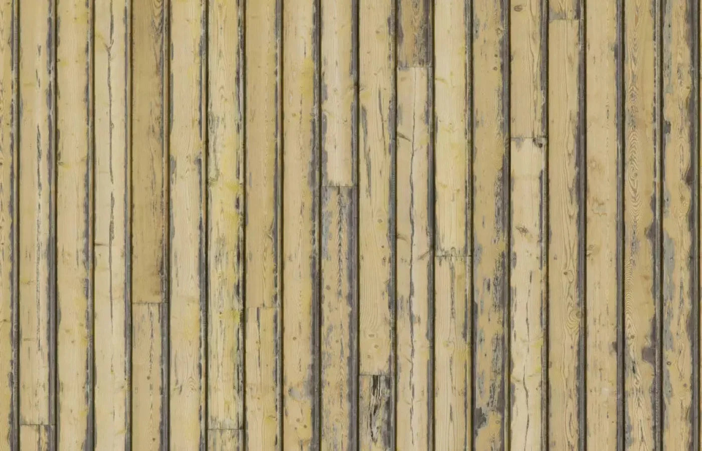 Woodstock 12X8 Ultracloth ( 144 X 96 Inch ) Backdrop