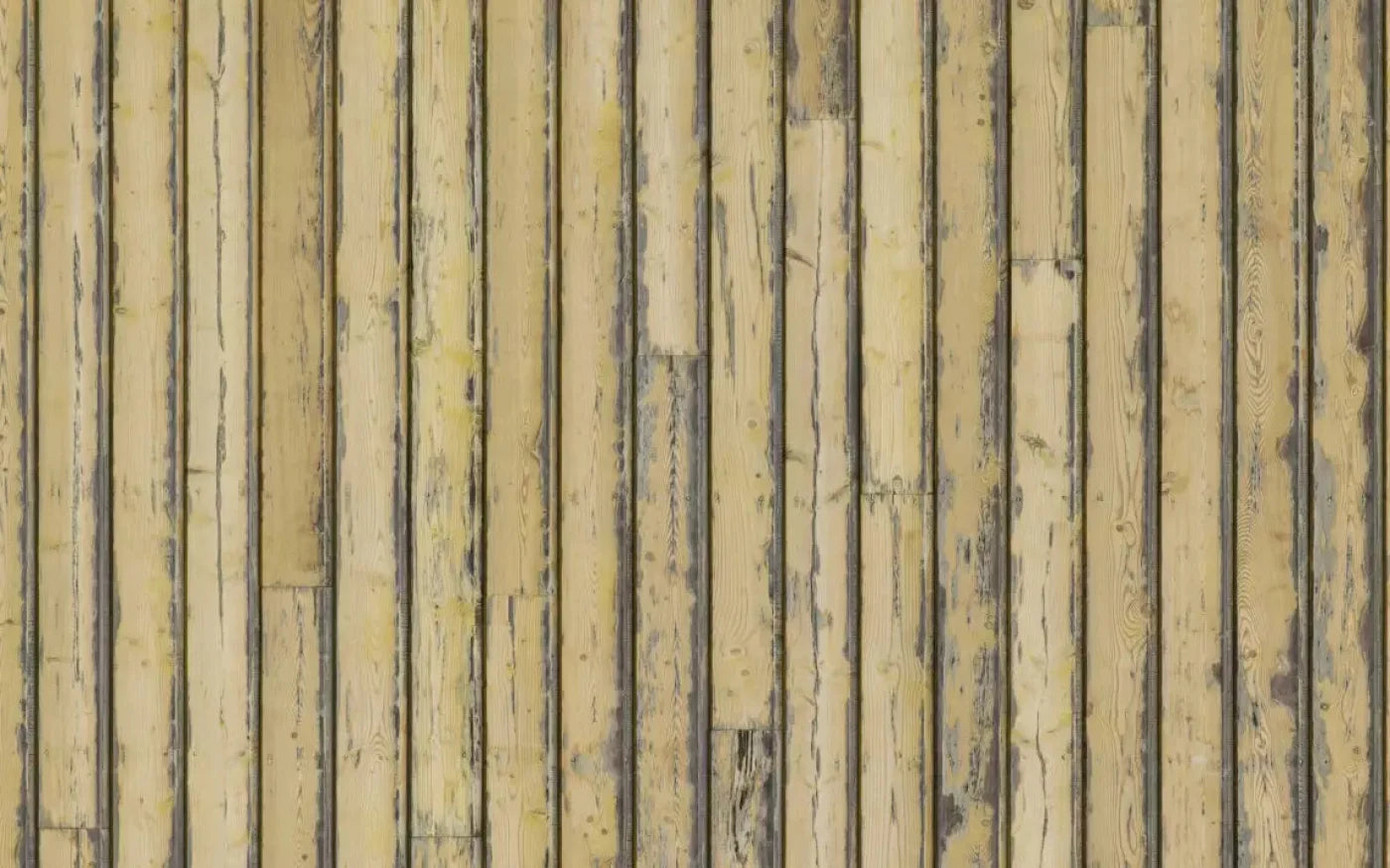 Woodstock 14X9 Ultracloth ( 168 X 108 Inch ) Backdrop
