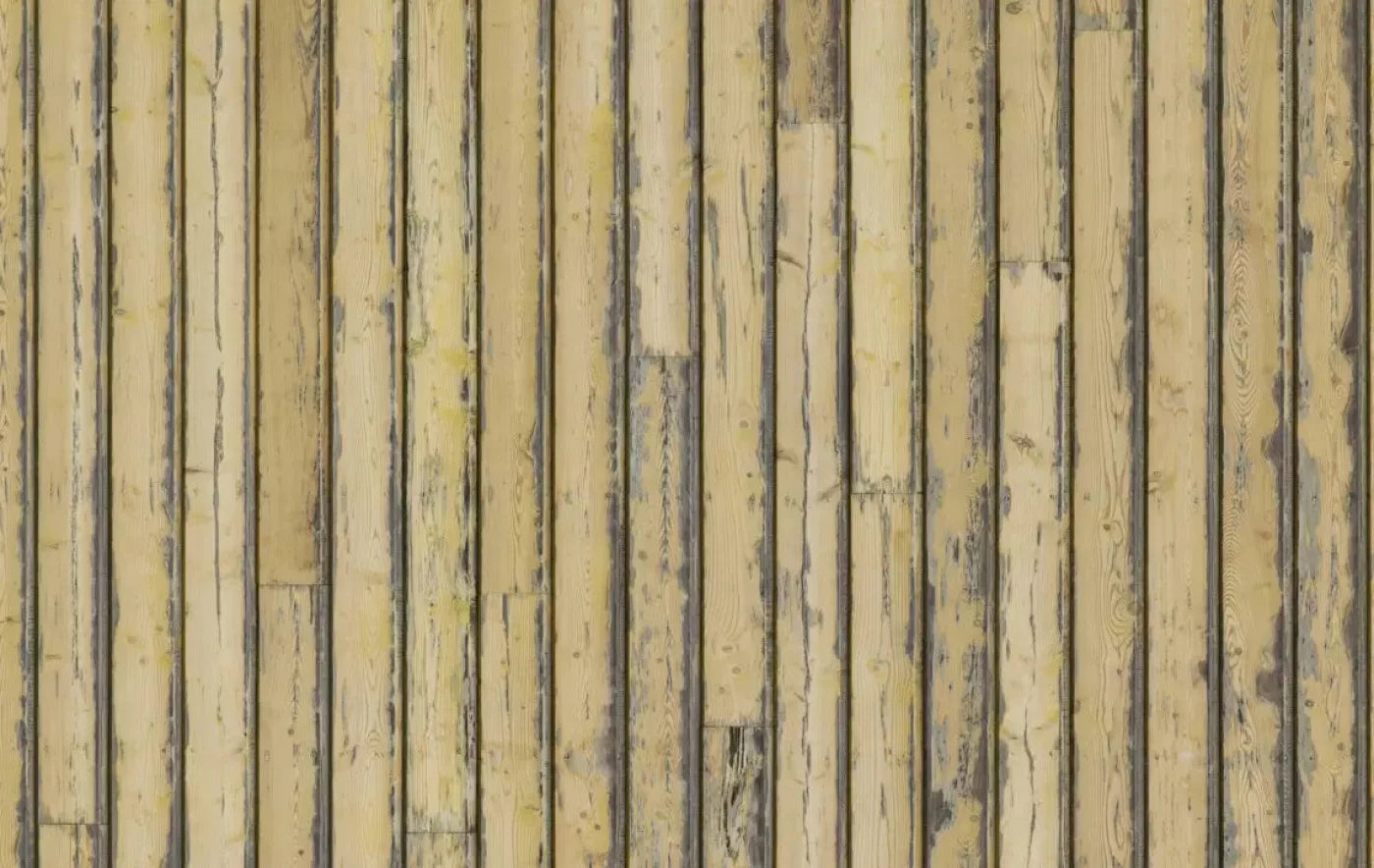 Woodstock 16X10 Ultracloth ( 192 X 120 Inch ) Backdrop