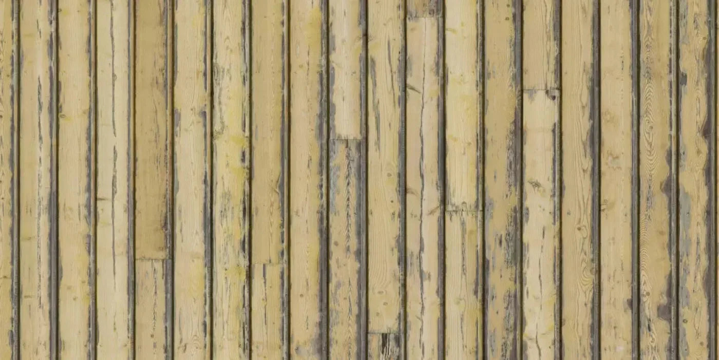 Woodstock 20X10 Ultracloth ( 240 X 120 Inch ) Backdrop