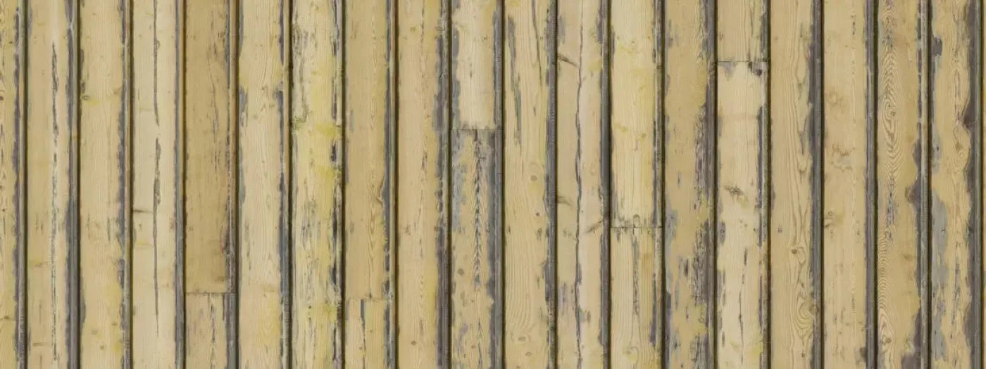 Woodstock 20X8 Ultracloth ( 240 X 96 Inch ) Backdrop