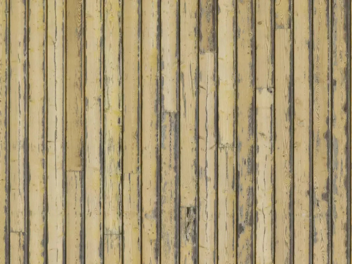 Woodstock 68X5 Fleece ( 80 X 60 Inch ) Backdrop