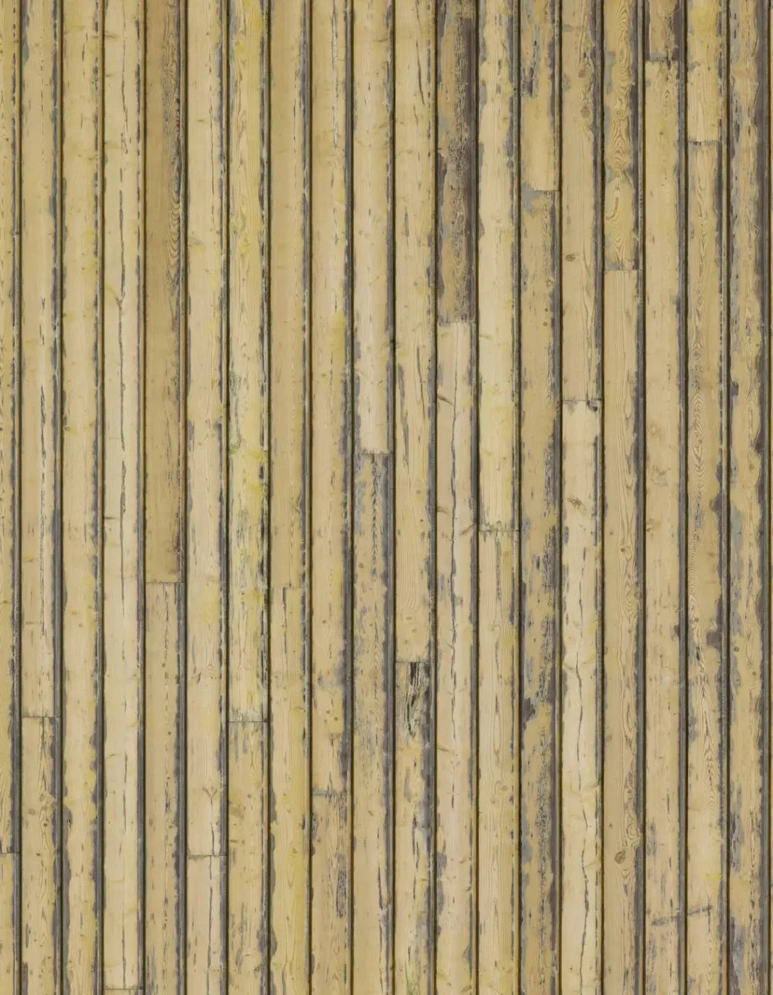 Woodstock 6X8 Fleece ( 72 X 96 Inch ) Backdrop
