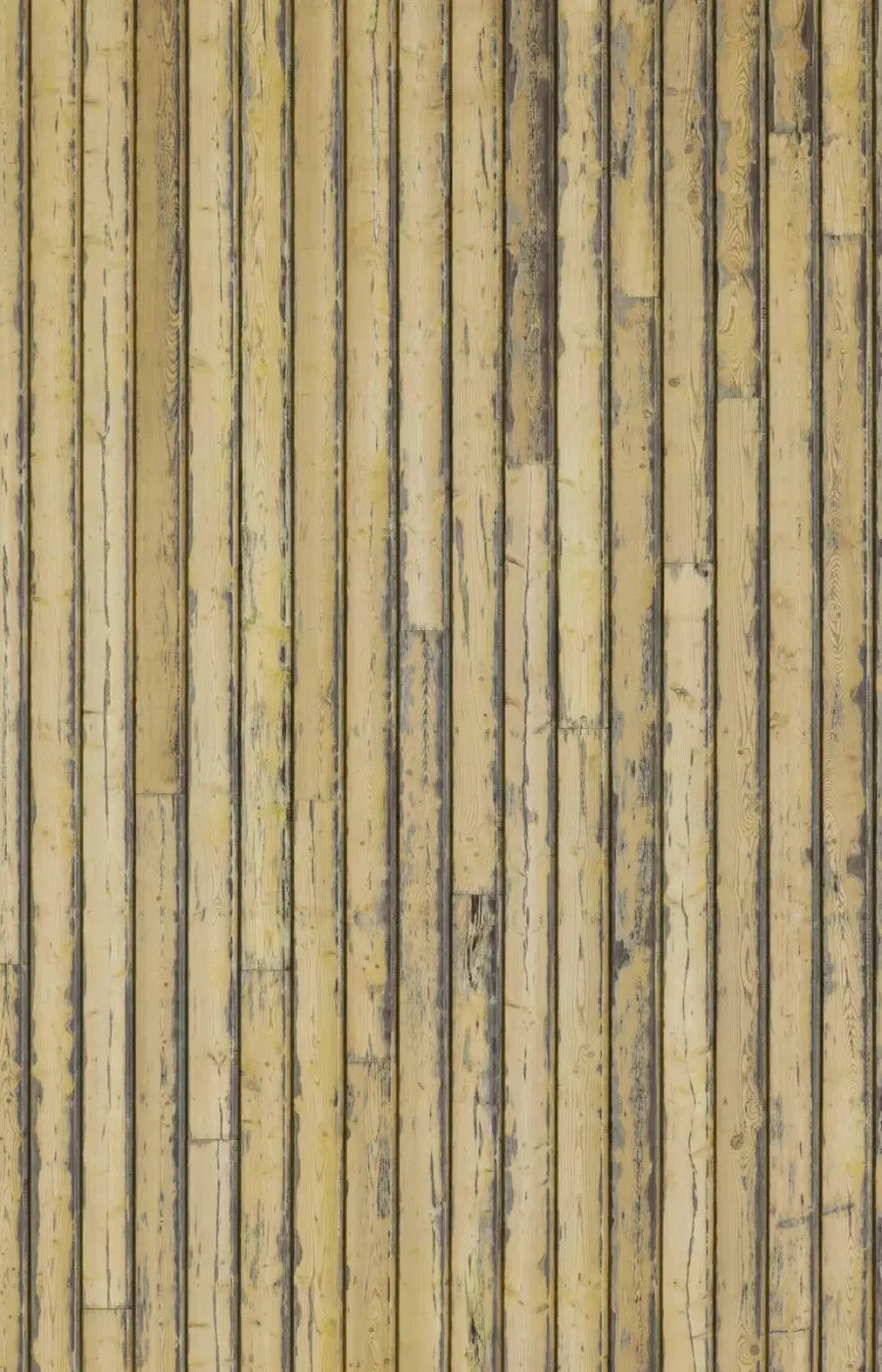 Woodstock 8X12 Ultracloth ( 96 X 144 Inch ) Backdrop