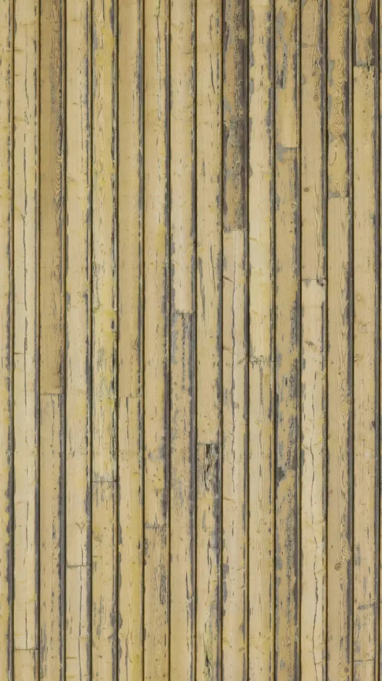 Woodstock 8X14 Ultracloth ( 96 X 168 Inch ) Backdrop