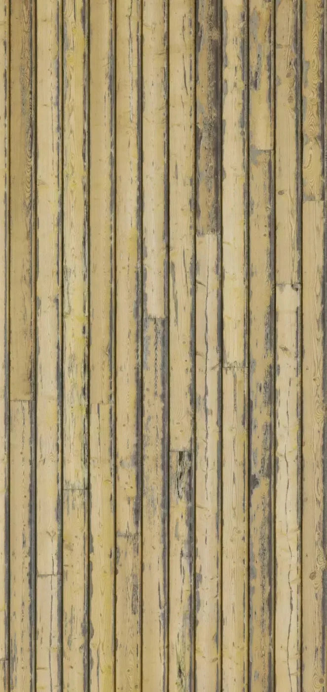 Woodstock 8X16 Ultracloth ( 96 X 192 Inch ) Backdrop