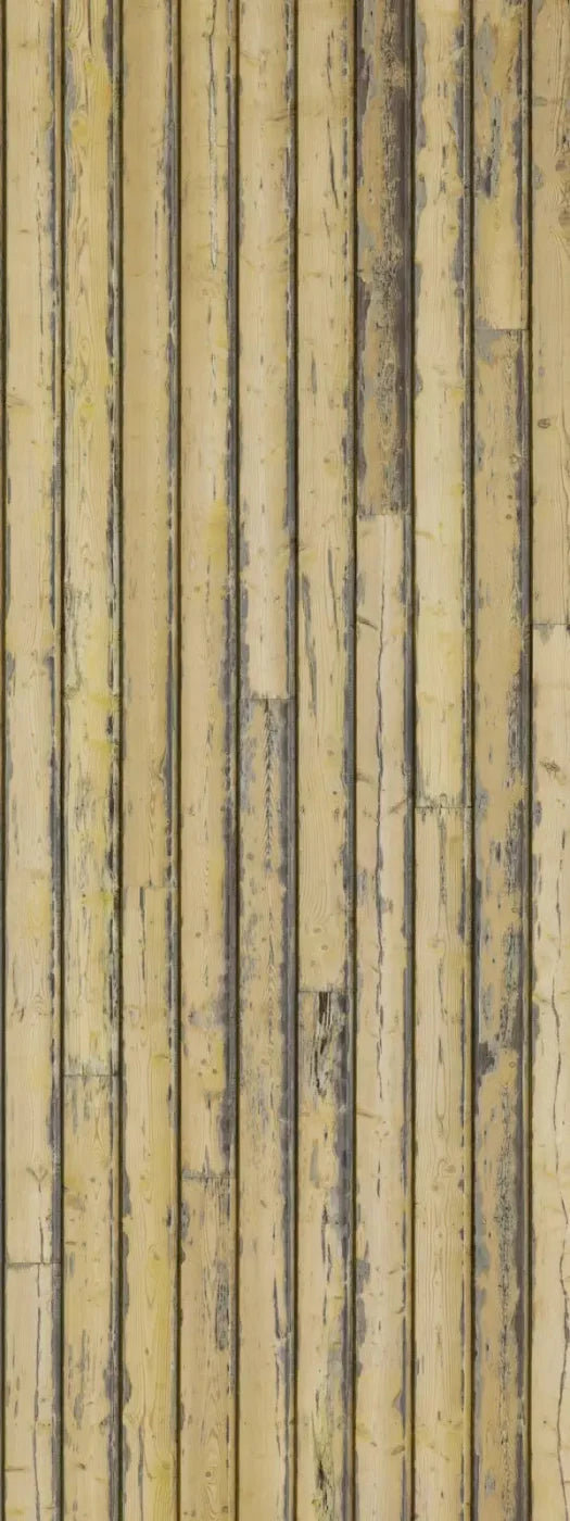 Woodstock 8X20 Ultracloth ( 96 X 240 Inch ) Backdrop