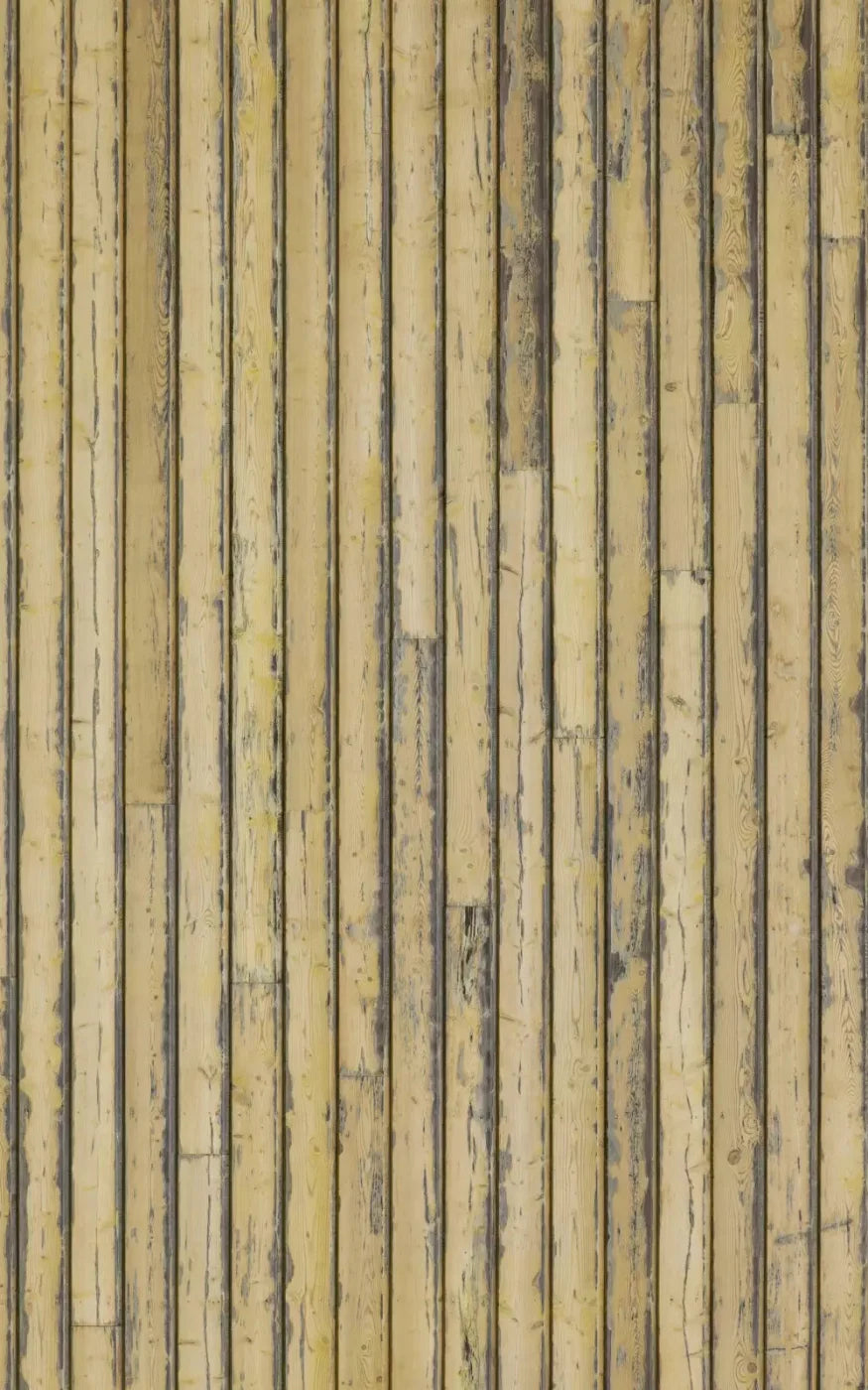 Woodstock 9X14 Ultracloth ( 108 X 168 Inch ) Backdrop