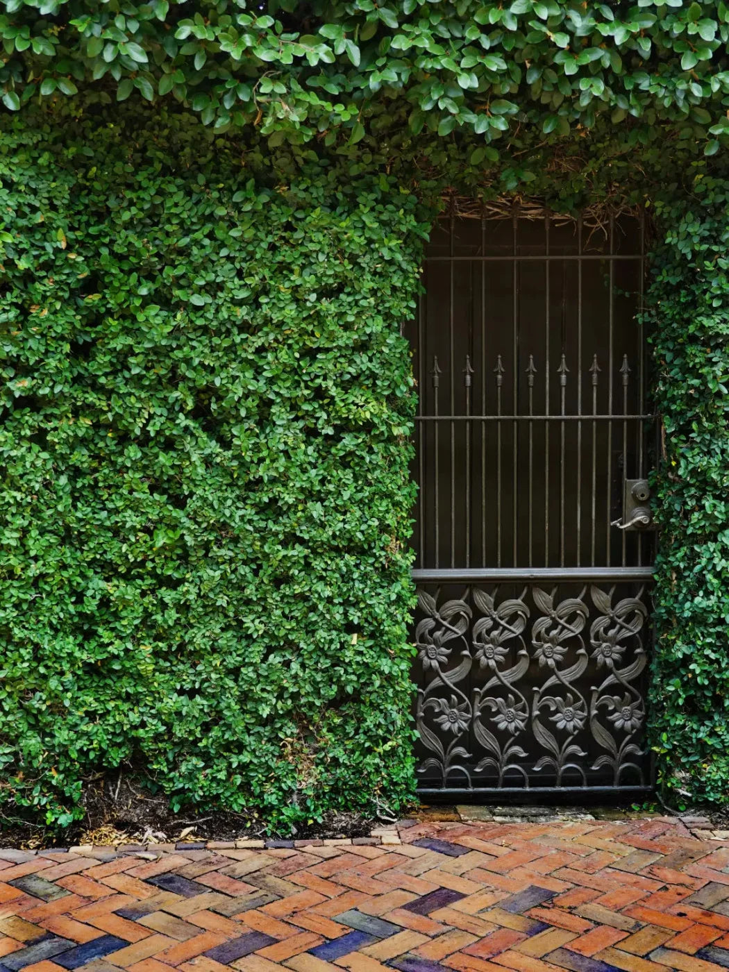 Wrought Iron Door 5X68 Fleece ( 60 X 80 Inch ) Backdrop