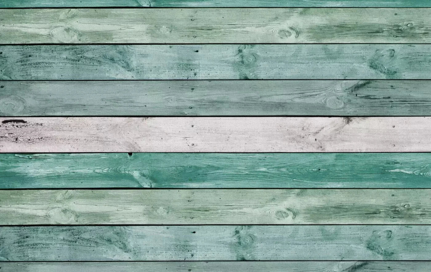 Zac 16X10 Ultracloth ( 192 X 120 Inch ) Backdrop