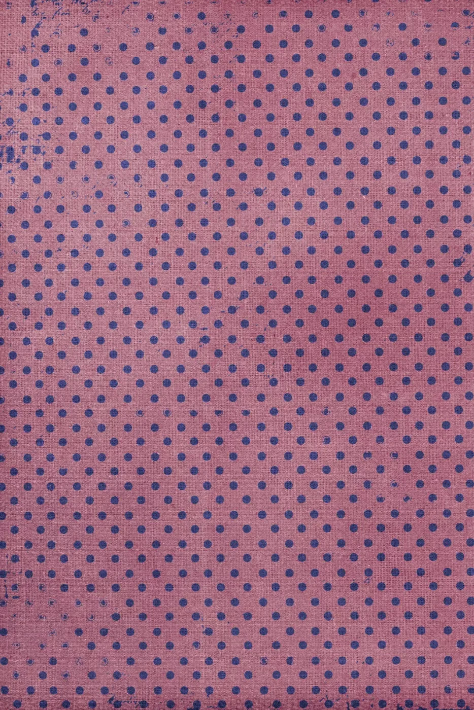 Zadie Backdrop