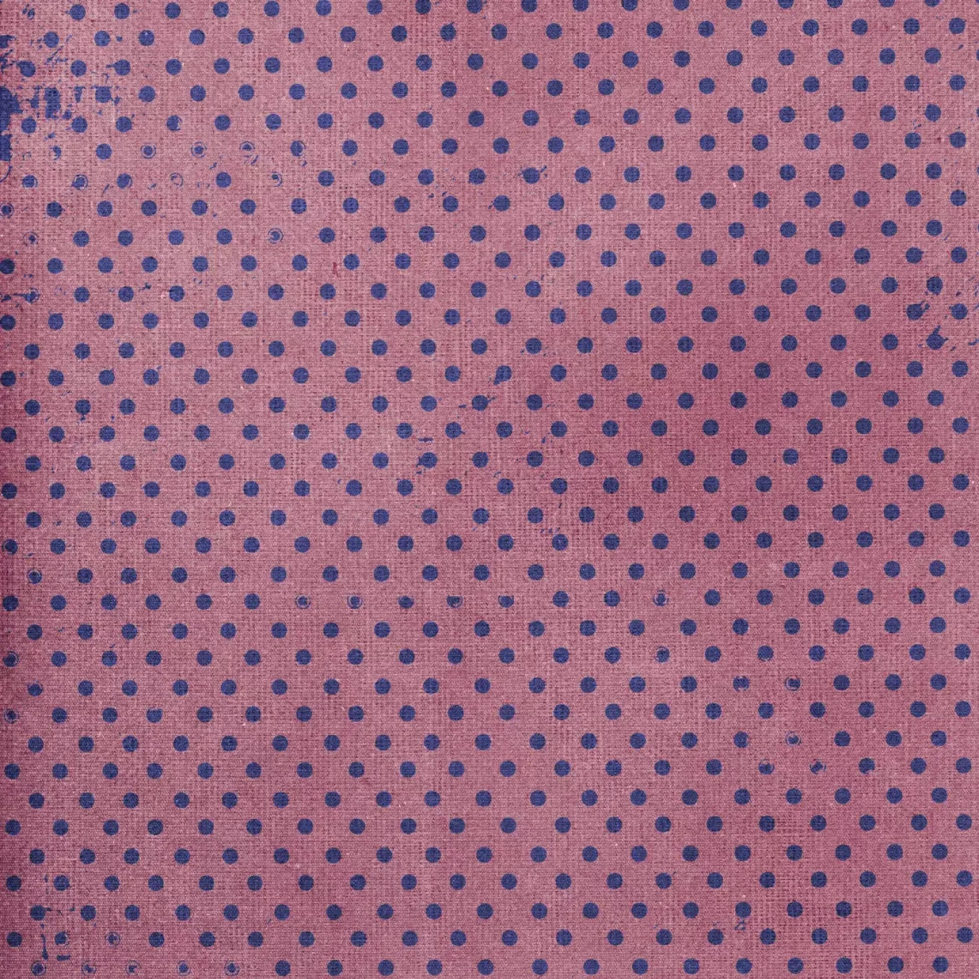 Zadie Backdrop