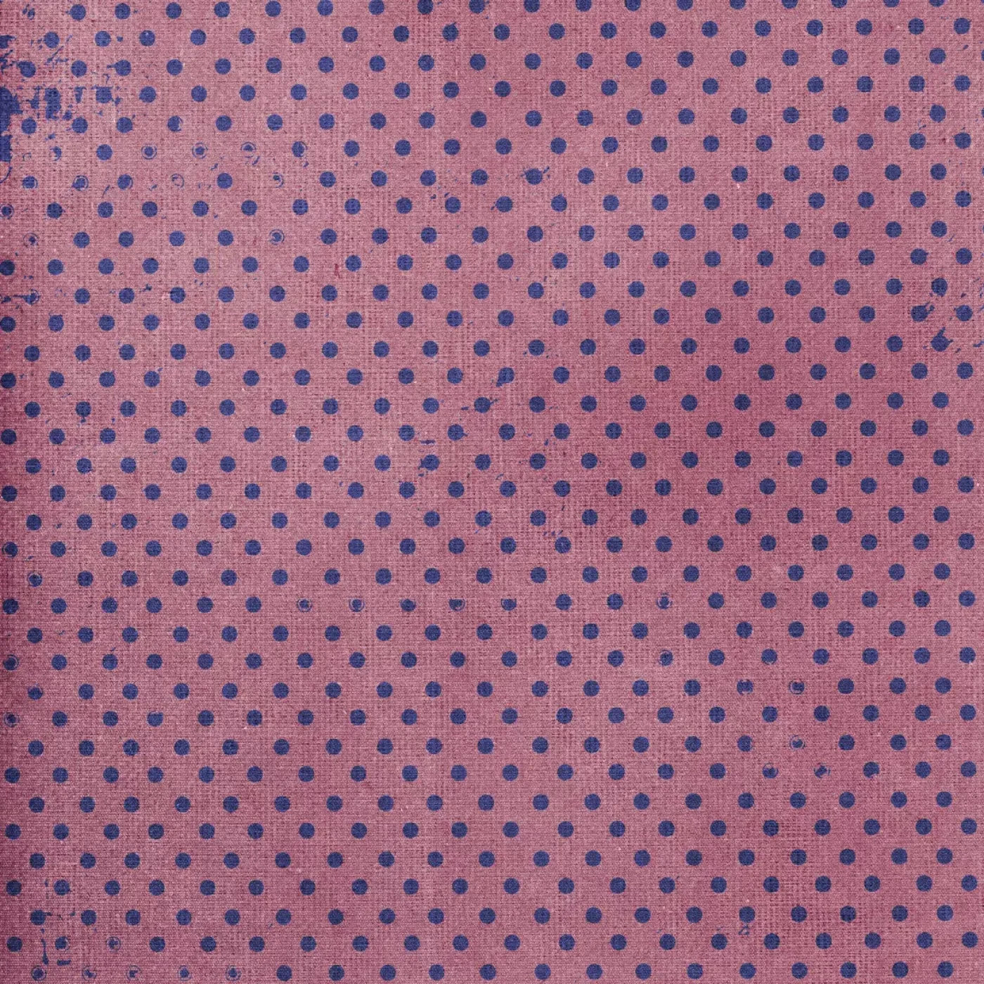 Zadie Backdrop