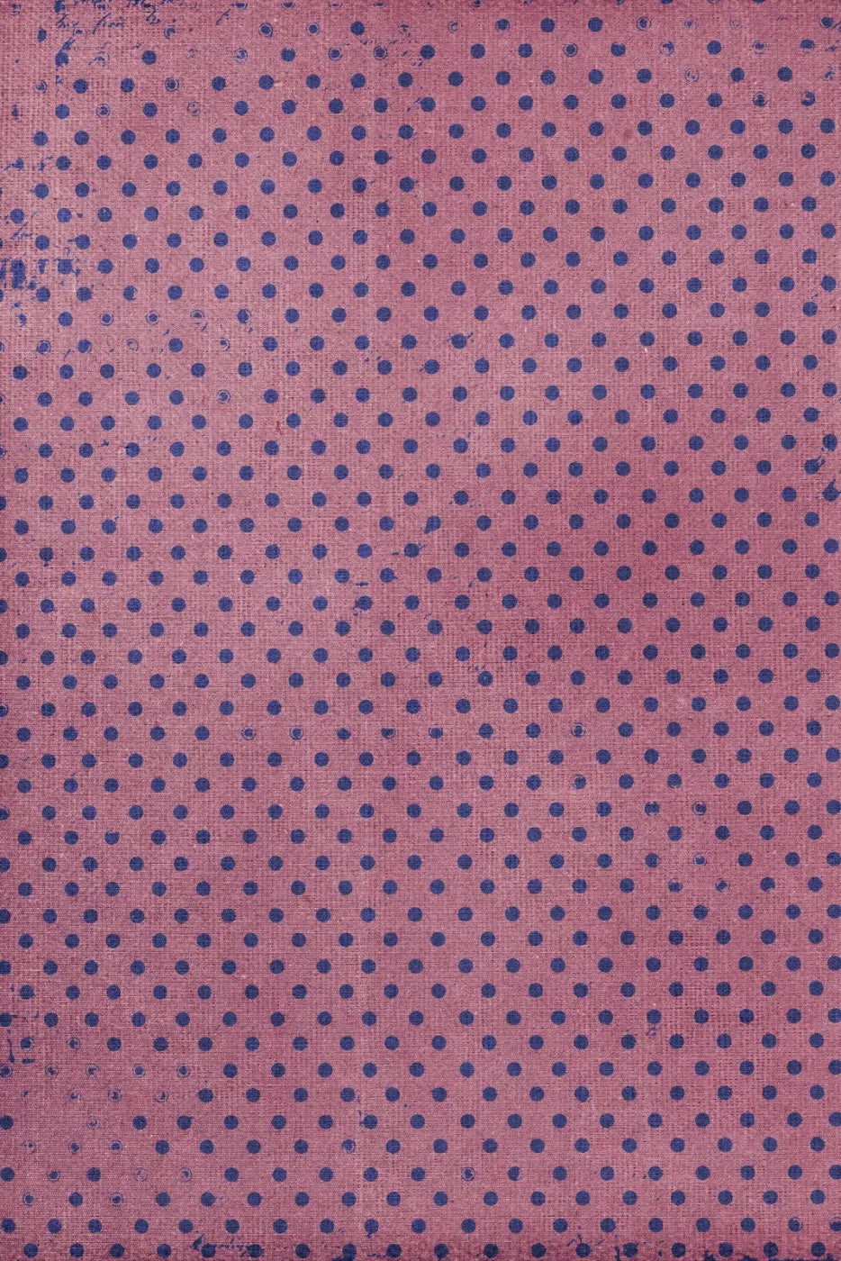 Zadie Backdrop