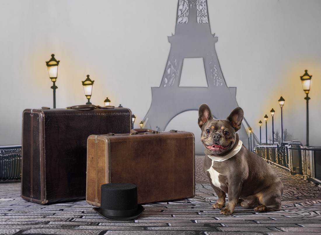 Creative Studio Photography Using Bridge to Paris