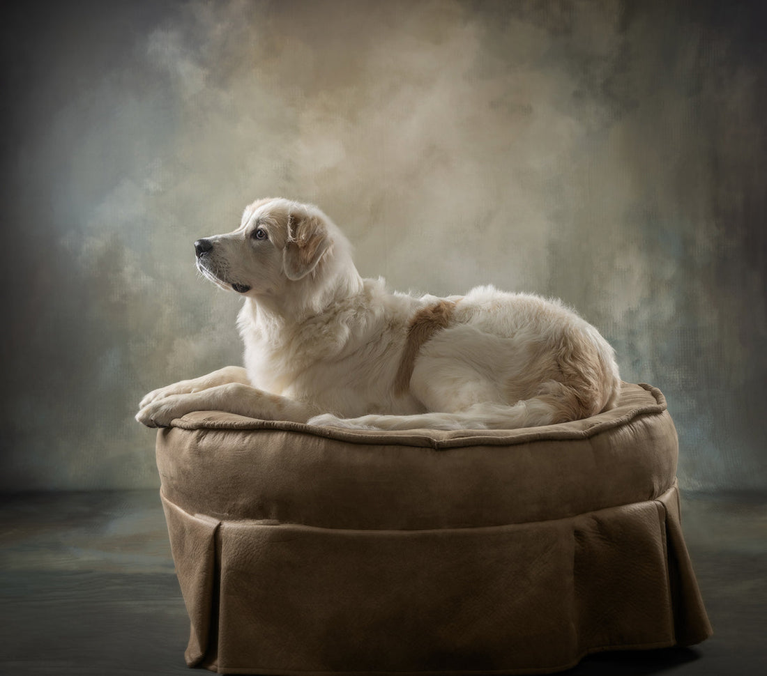 Creative Studio Photography Using Fall Fascination Cool
