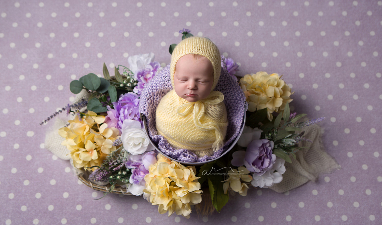 Top Newborn Photography Backdrops Every Photographer Needs