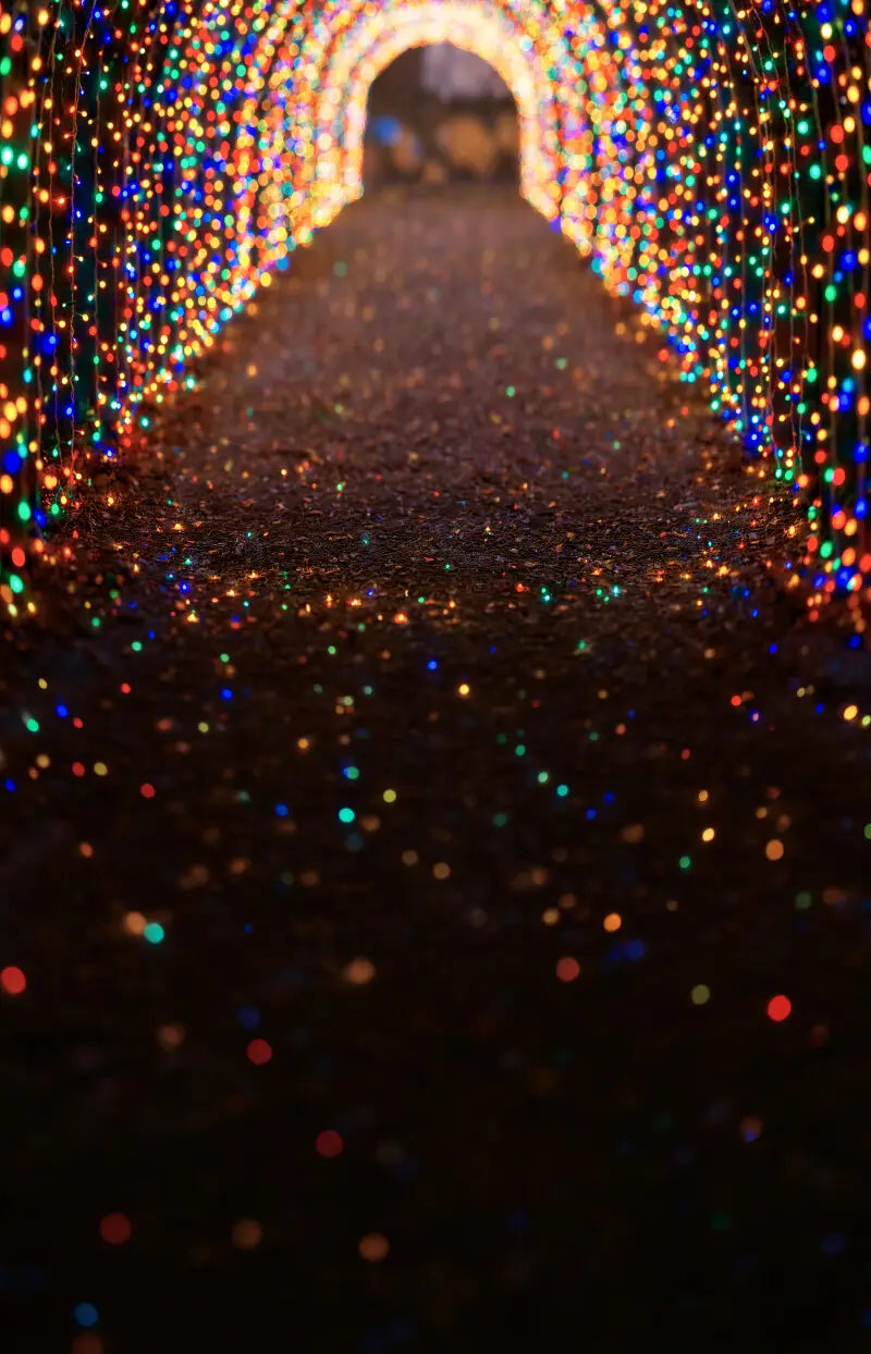 Multicolored Christmas Light Path Sweep