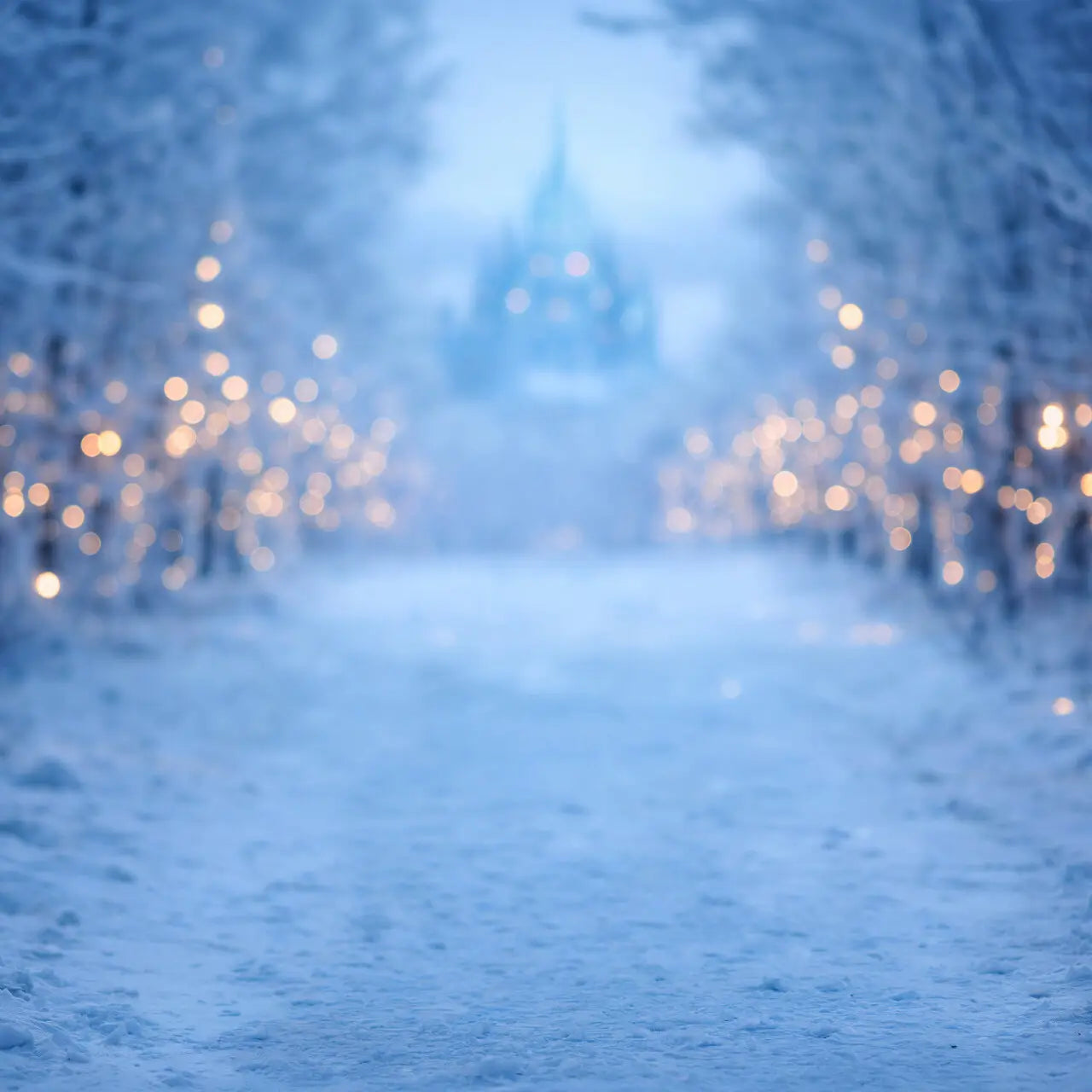 Frozen Forest