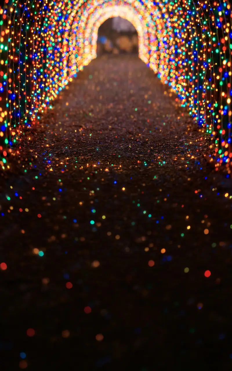 Multicolored Christmas Light Path Sweep