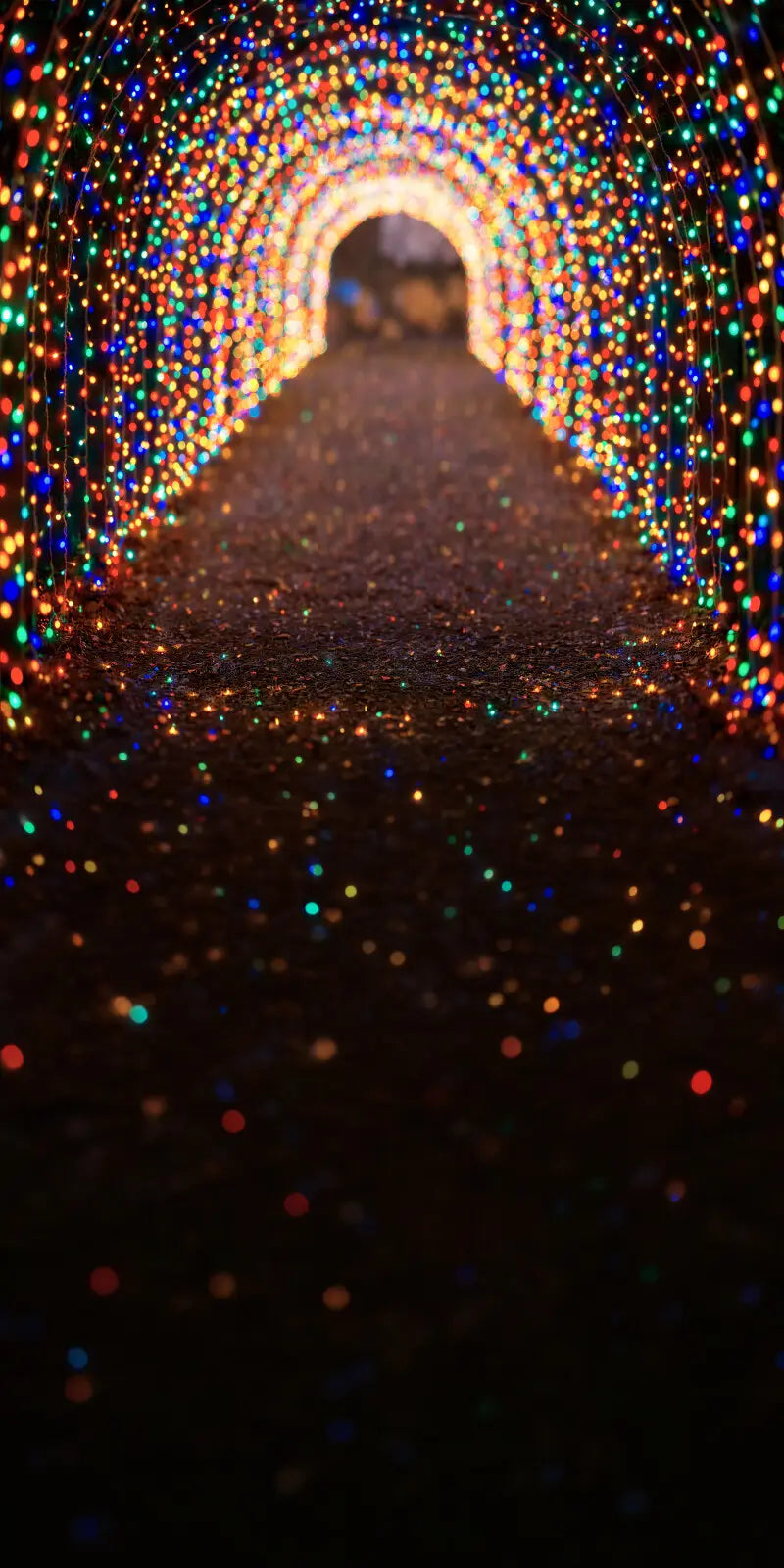 Multicolored Christmas Light Path Sweep