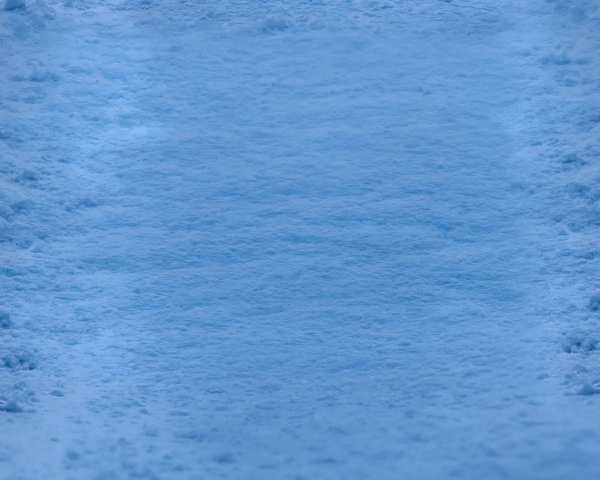 Frozen Forest Rubbermat Floor