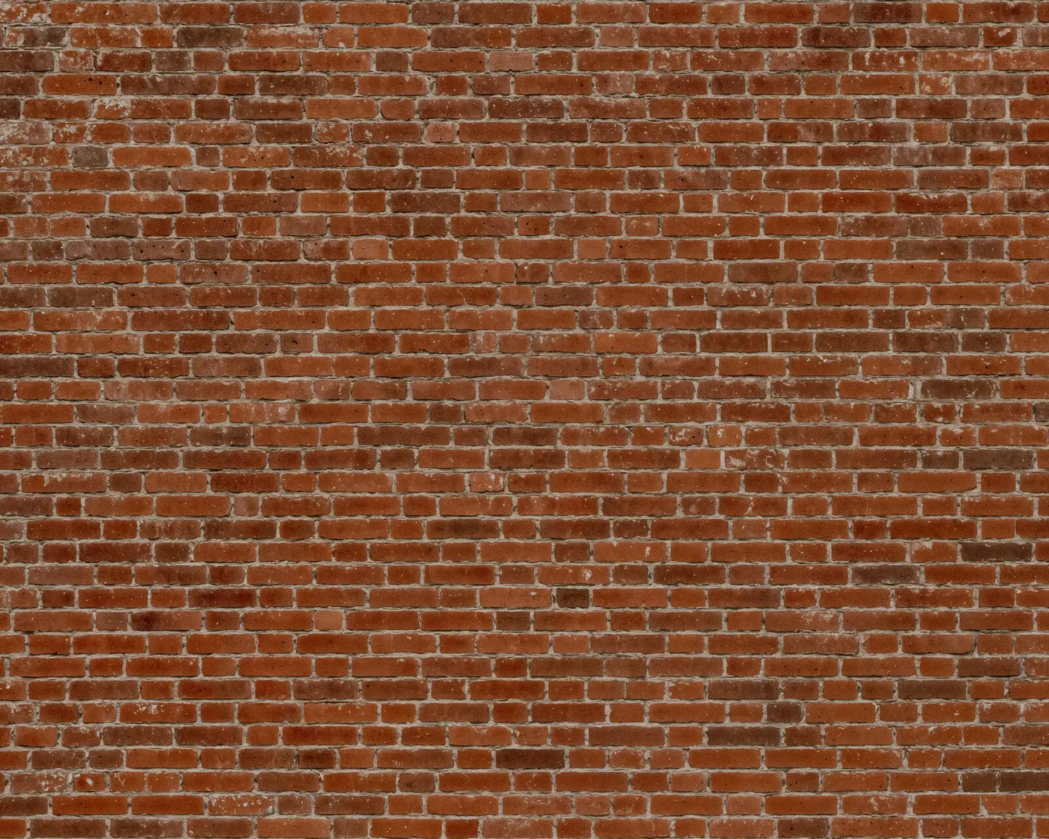 Authentic Weathered Brick Wall