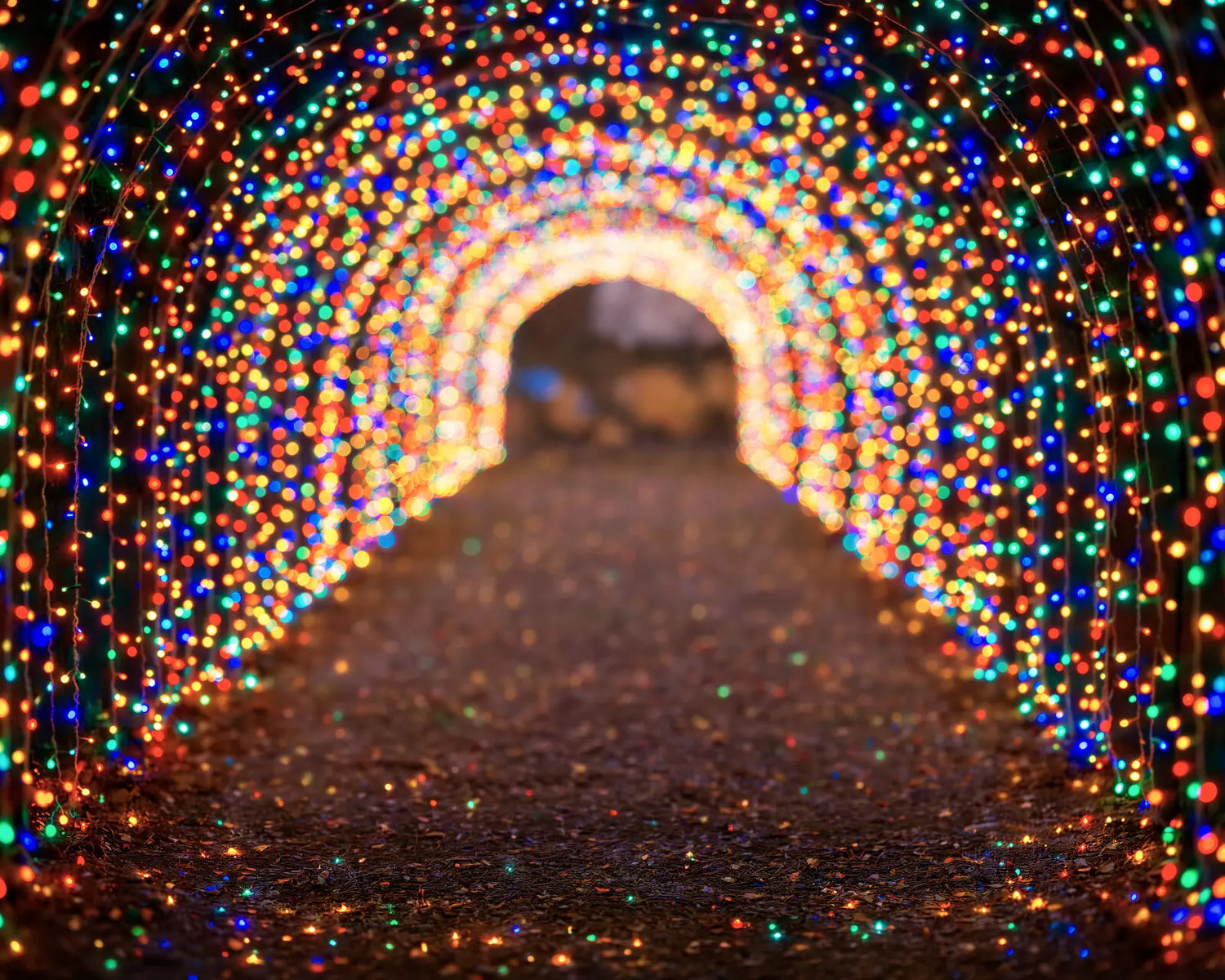 Multicolored Christmas Light Path