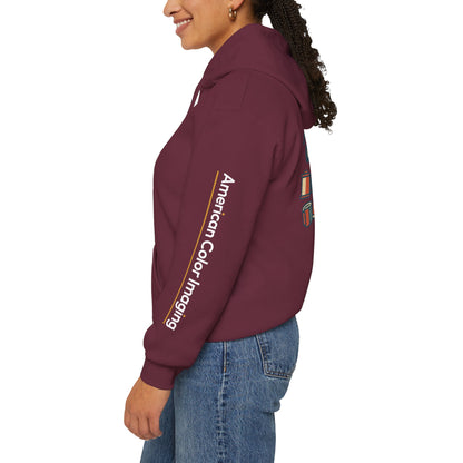 Unisex Heavy Blend™ Hooded ACI Sweatshirt