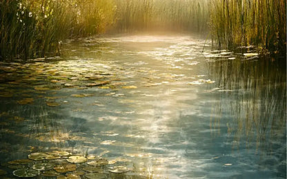 A Place To Ponder