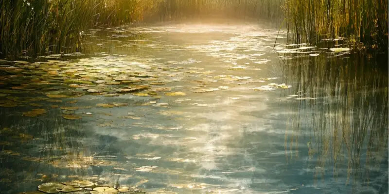 A Place To Ponder