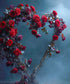 Blue Red Purple   Backdrop for Photography