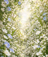 White Floral Backdrop for Photography