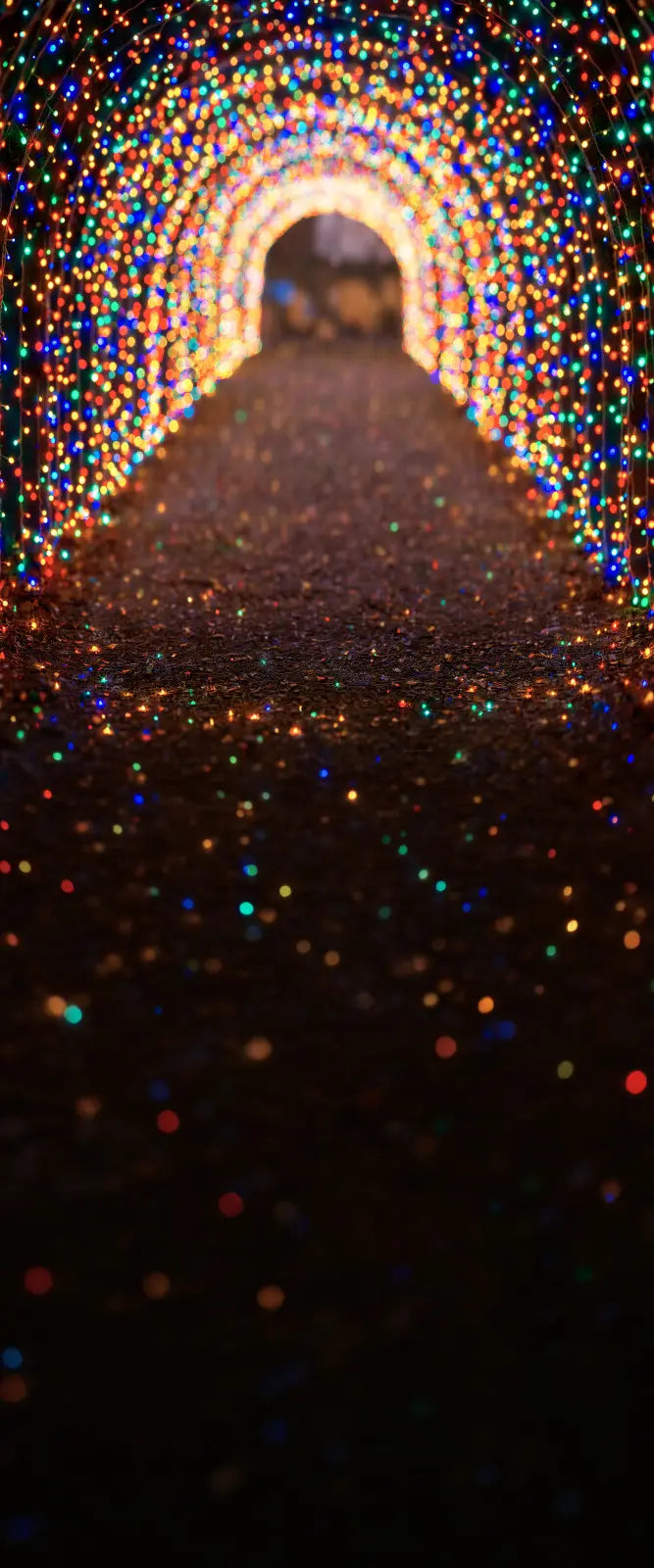 Multicolored Christmas Light Path Sweep