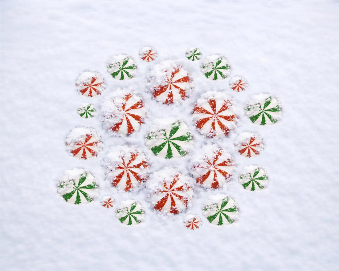 White Green Red  Backdrop for Photography