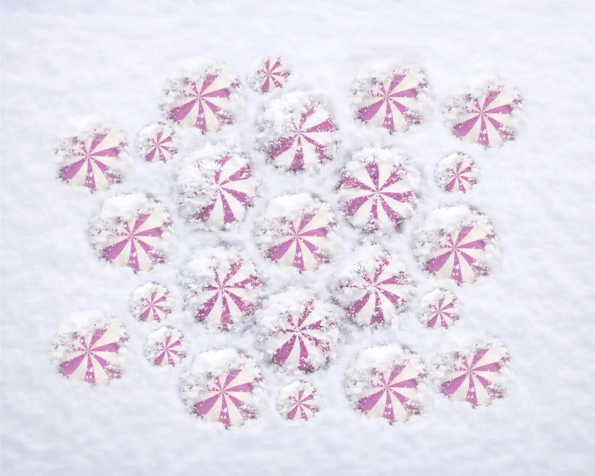 White Pink  Backdrop for Photography