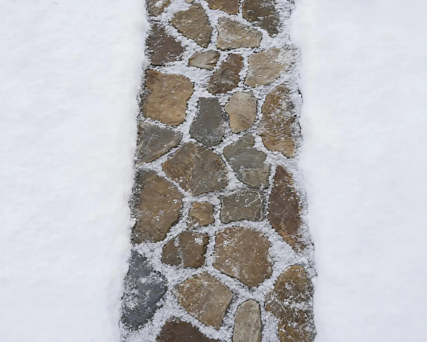 Winter Walkway