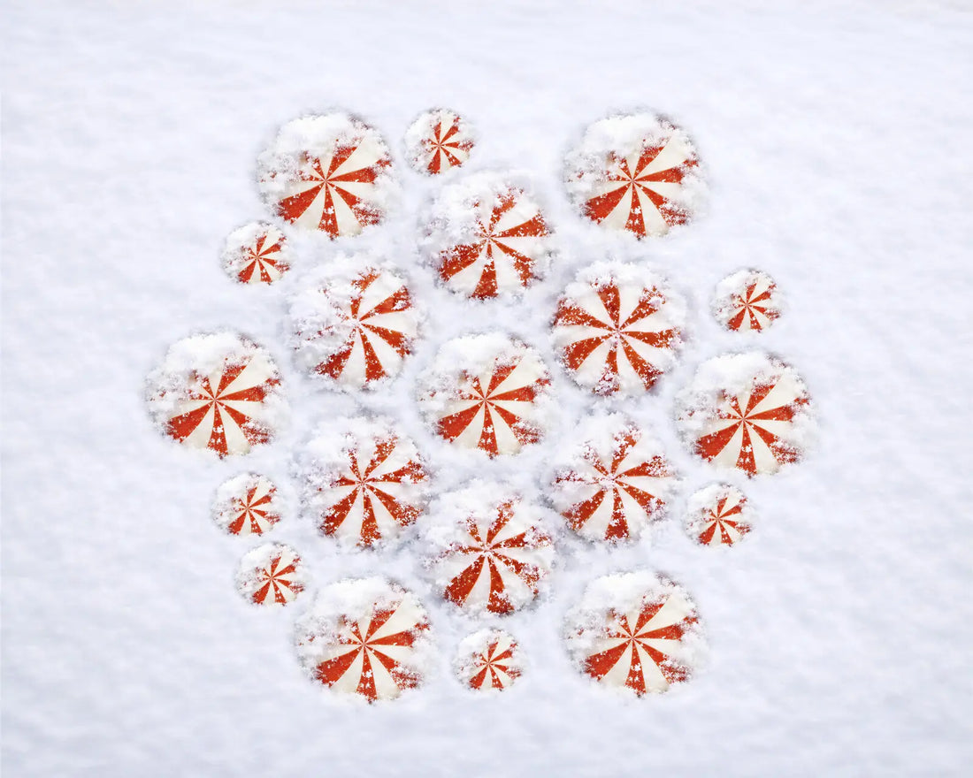 Red White  Backdrop for Photography