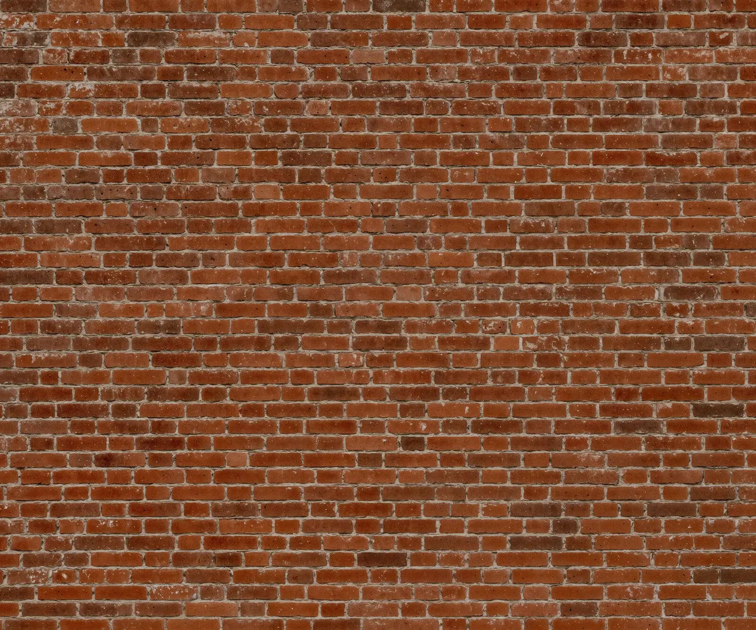 Authentic Weathered Brick Wall