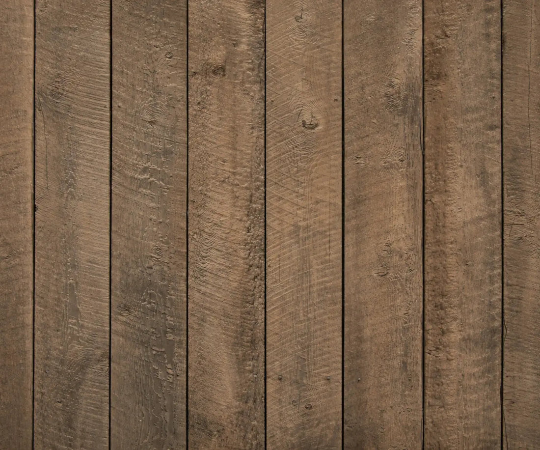 Brown  Backdrop for Photography