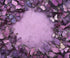 Purple  Backdrop for Photography