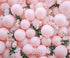 Pink Green  Backdrop for Photography