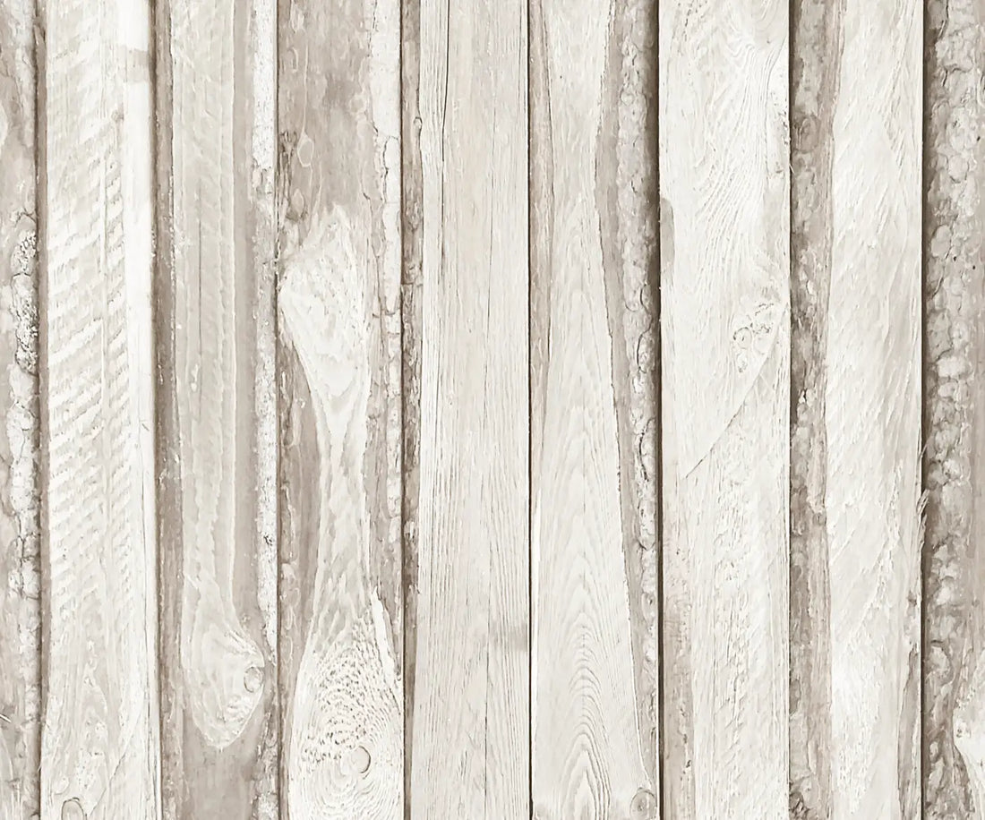Beige  Backdrop for Photography