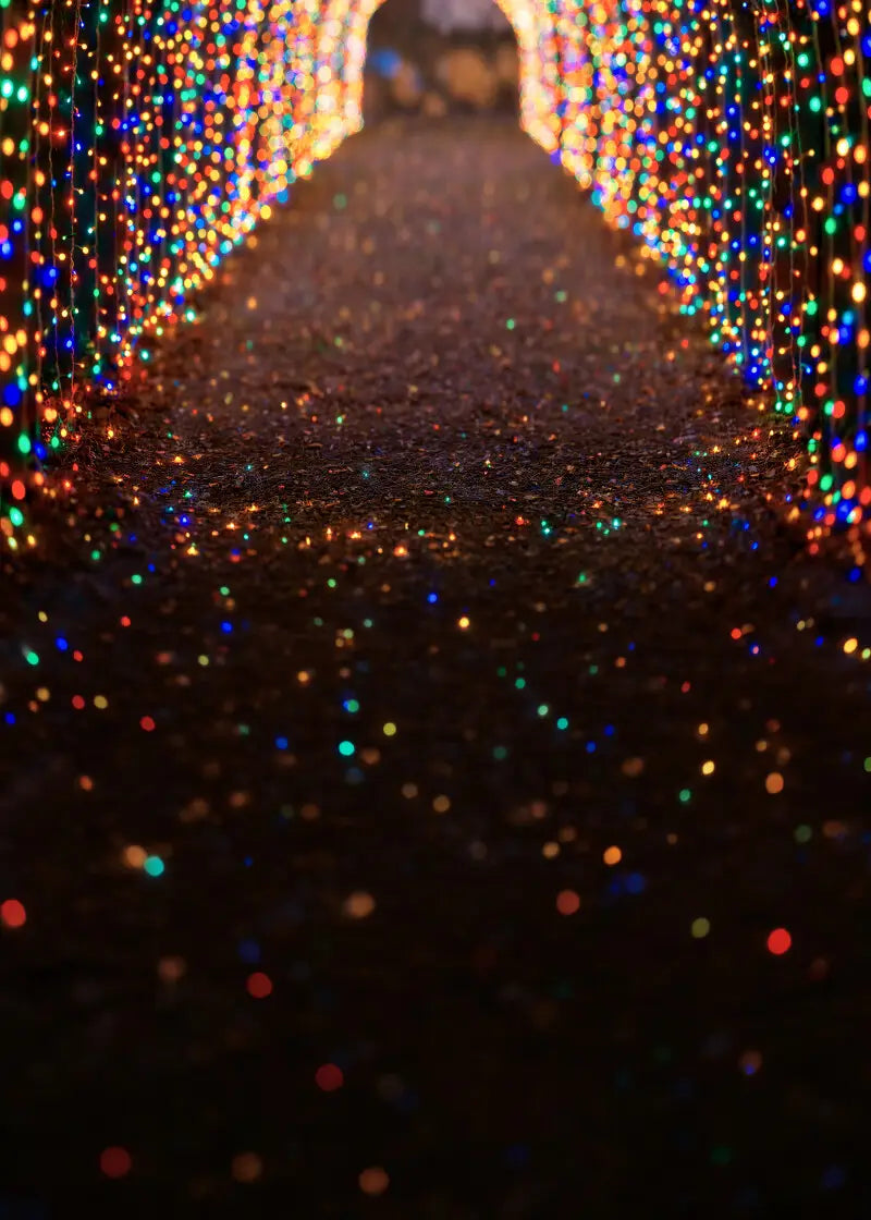 Multicolored Christmas Light Path Sweep