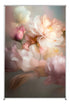   Backdrop for Photography